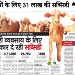 pashupalan loan शुरू करना चाहते हैं डेयरी, तो 25 गायों की खरीद पर मिलेगी 31 लाख रुपये की सब्सिडी