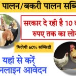 poultry farming project 2024 मुर्गी और बकरी के लिए मिलेगा लोन…जानिए कैसे करते हैं अप्लाय